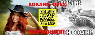 крисы Будённовск