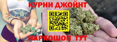 крисы Будённовск