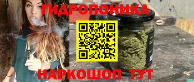 стаф Бузулук