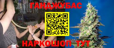 стаф Бузулук