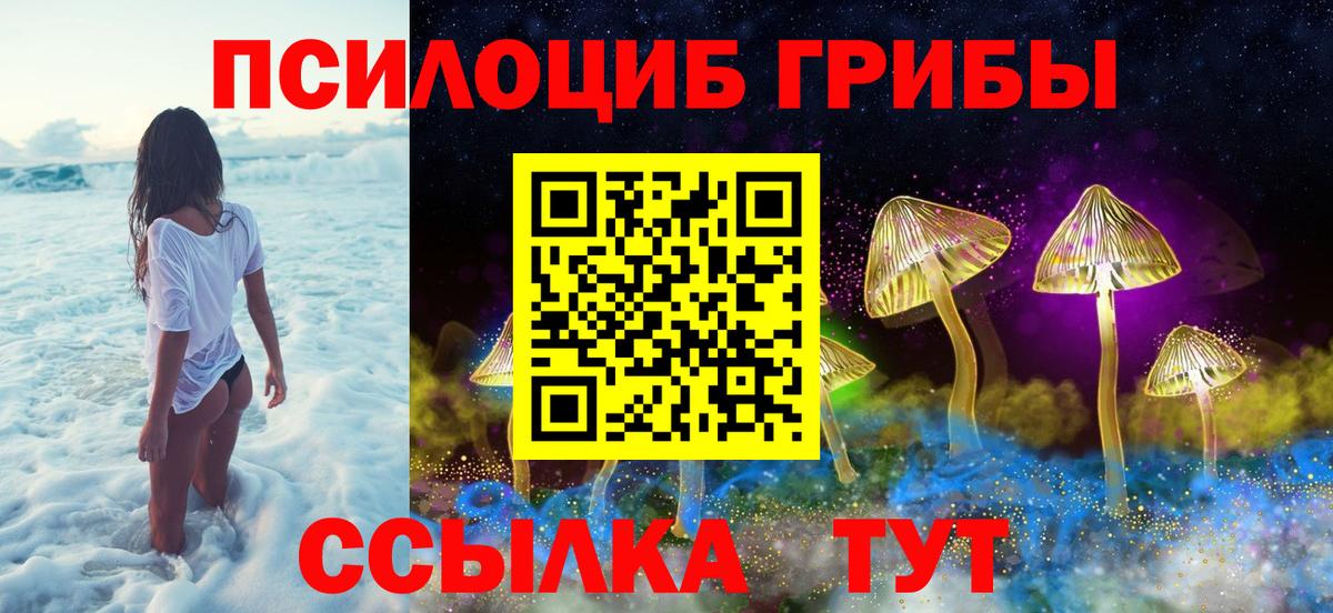 Нефтекумск  Галлюциногенные грибы ЛСД  купить   Галлюциногенные грибы MAGIC MUSHROOMS  Вход с VPN 