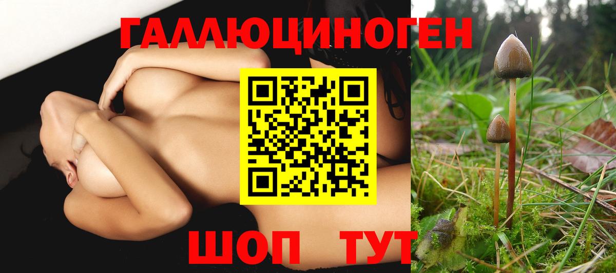 Псилоцибиновые грибы Cubensis Нефтекумск